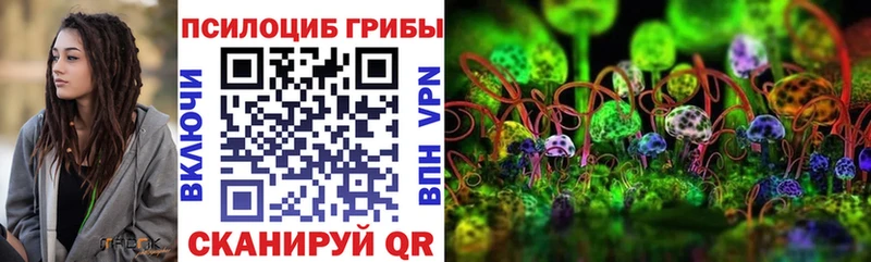 Галлюциногенные грибы Cubensis  Купить  Янаул 